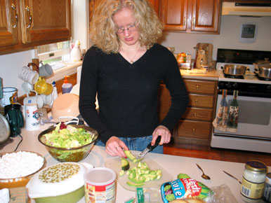 Erica and Andrew's Mom look at wedding plans online